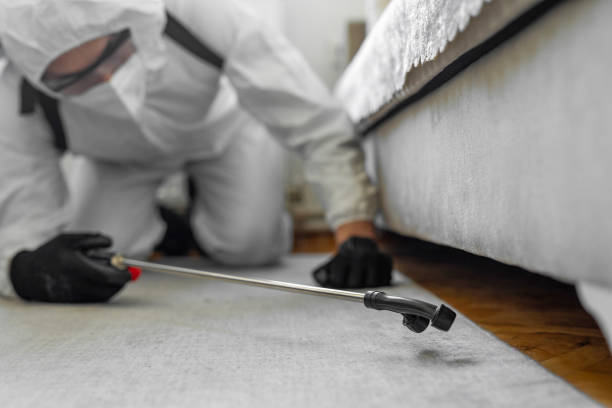 Professional Bed Bug Control technician working in Birch Run, MI