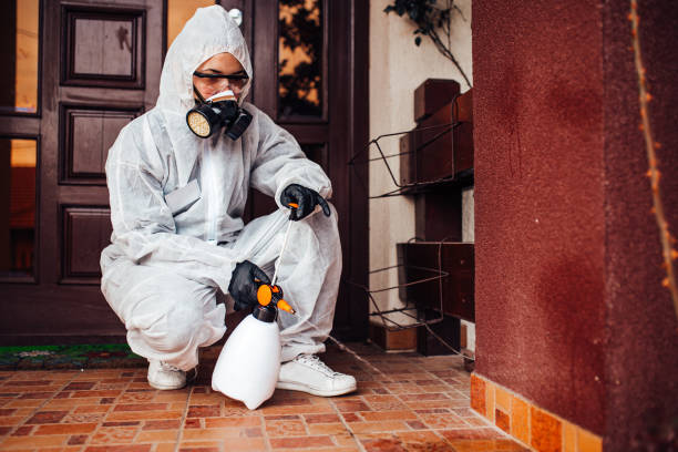 Reliable Bed Bug Control contractor in Birch Run, MI by Nex Pest Control