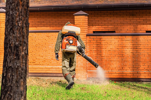 Trusted Emergency Pest Control service in Birch Run, MI - Nex Pest Control